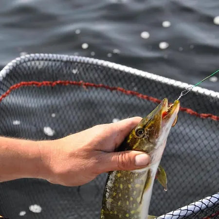 Level 2 Casa de Férias Miastko (Bytow)