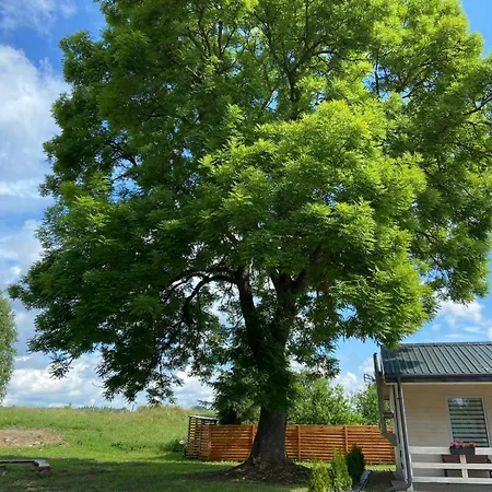 Level 2 Casa de Férias *