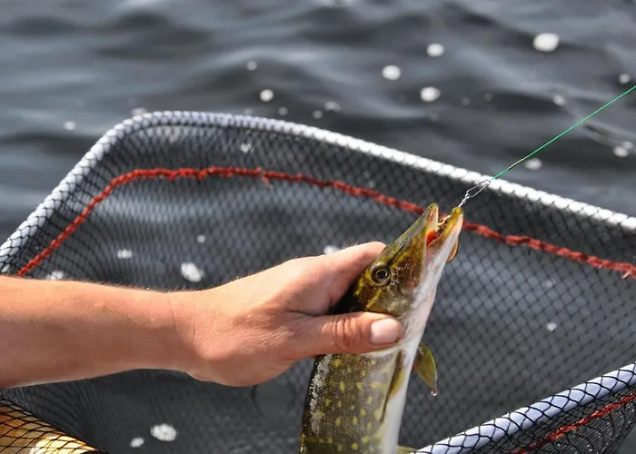 Level 2 Nyaraló Miastko